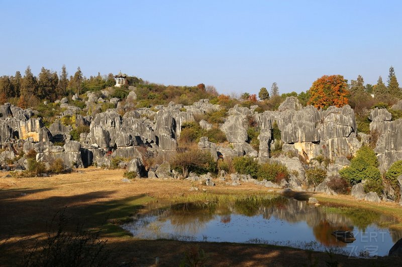 Kunming--Stone Forest (85).JPG