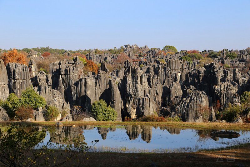 Kunming--Stone Forest (87).JPG