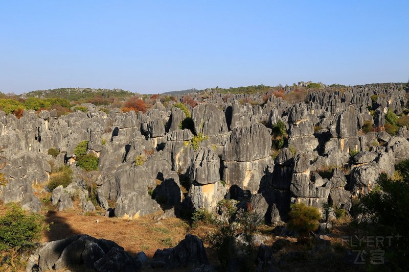 Kunming--Stone Forest (83).JPG