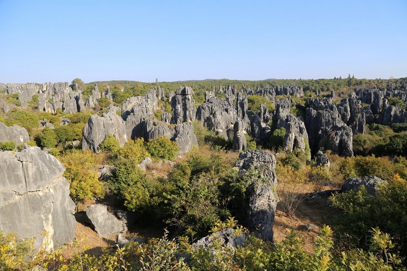 Kunming--Stone Forest (78).JPG