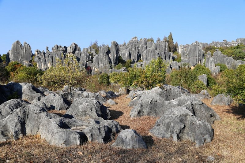 Kunming--Stone Forest (67).JPG