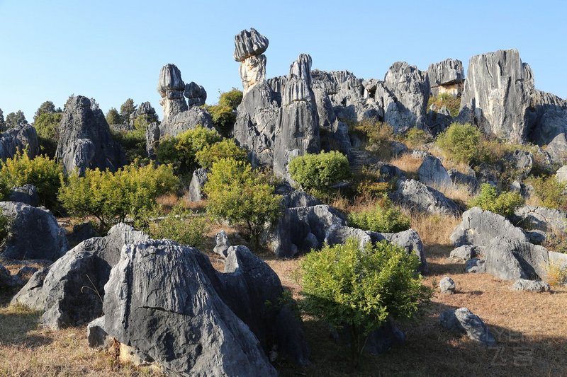 Kunming--Stone Forest (73).JPG