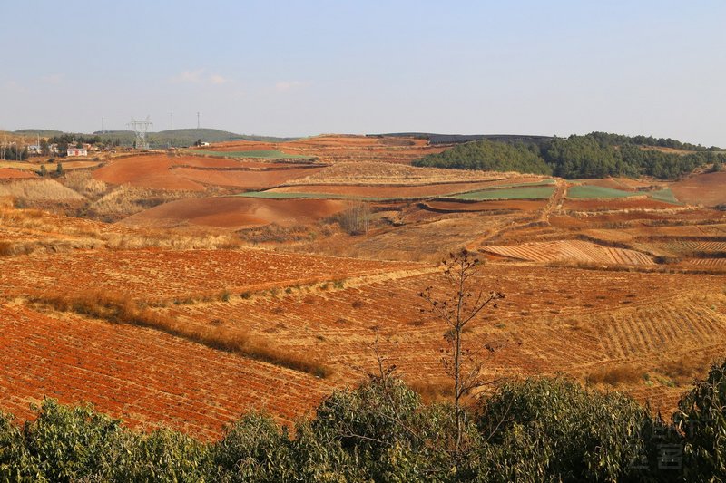 Dongchuan--Red Land (3).JPG