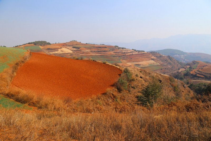 Dongchuan--Red Land (26).JPG