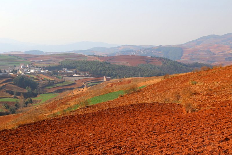 Dongchuan--Red Land (15).JPG