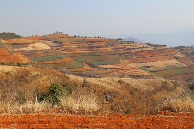 Dongchuan--Red Land (24).JPG