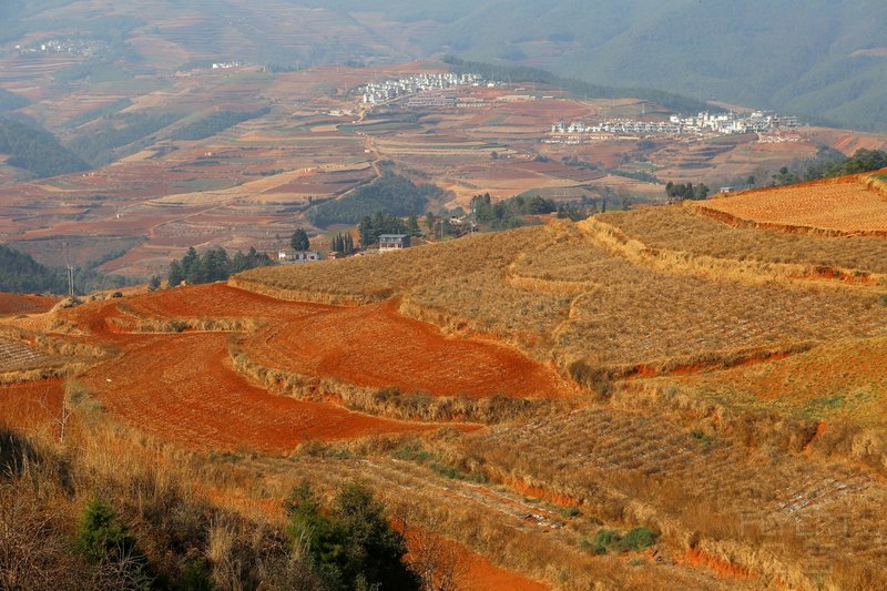 Dongchuan--Red Land (17).JPG