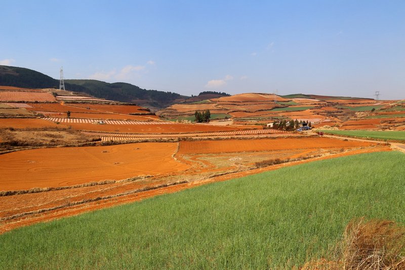 Dongchuan--Red Land (29).JPG