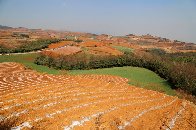 Dongchuan--Red Land (40).JPG