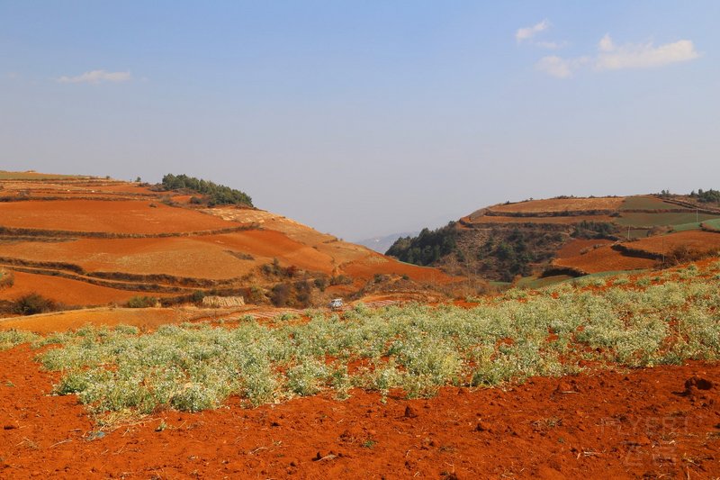 Dongchuan--Red Land (34).JPG