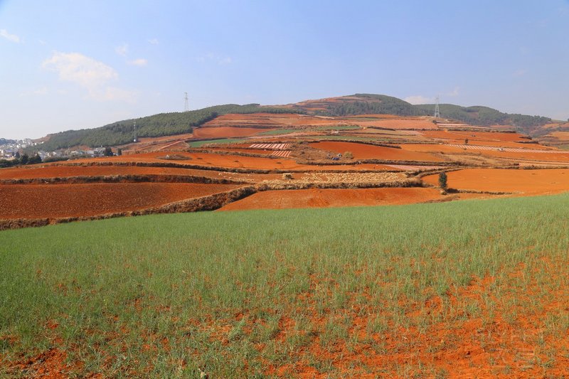 Dongchuan--Red Land (37).JPG