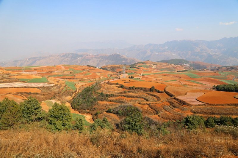 Dongchuan--Red Land (58).JPG