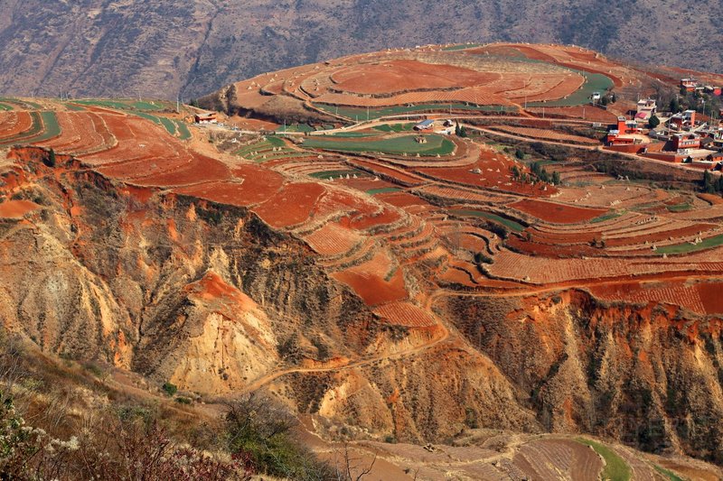 Dongchuan--Red Land (54).JPG