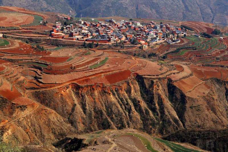 Dongchuan--Red Land (53).JPG