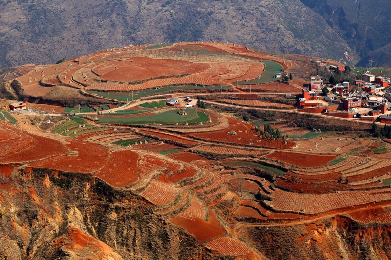 Dongchuan--Red Land (52).JPG