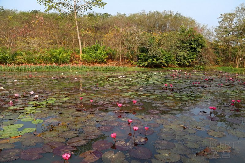 Xishuangbanna--Floral Garden (18).JPG