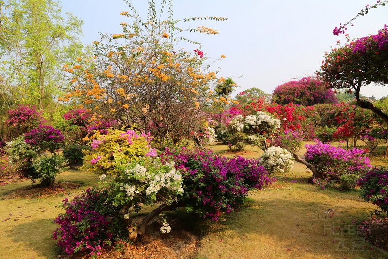 Xishuangbanna--Floral Garden (36).JPG