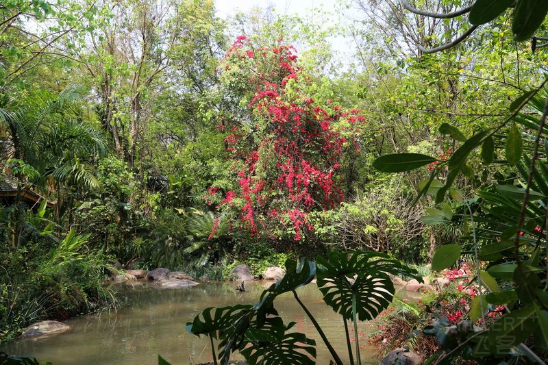 Xishuangbanna--Manting Park and General Buddhist Temple (3).JPG