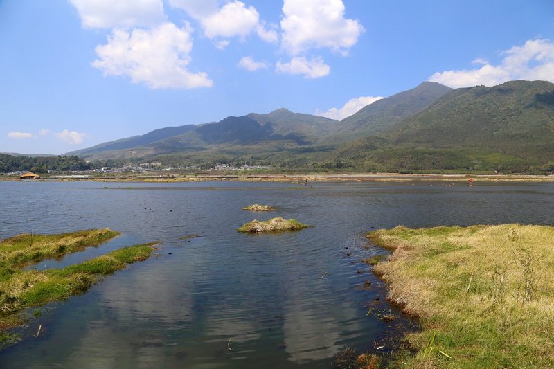 Tengchong--Beihai Wetland (22).JPG