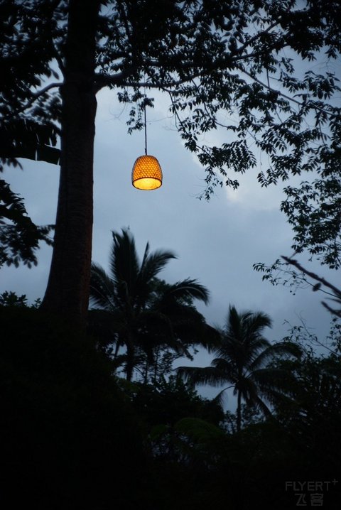 酋长人生——巴厘岛布阿罕悦榕逸境酒店（Buahan, a Banyan Tree Escape）小记