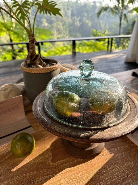 酋长人生——巴厘岛布阿罕悦榕逸境酒店（Buahan, a Banyan Tree Escape）小记