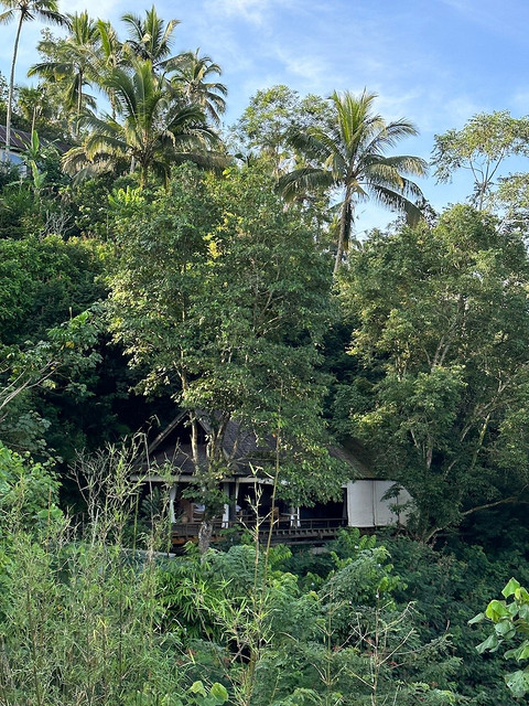 酋长人生——巴厘岛布阿罕悦榕逸境酒店（Buahan, a Banyan Tree Escape）小记