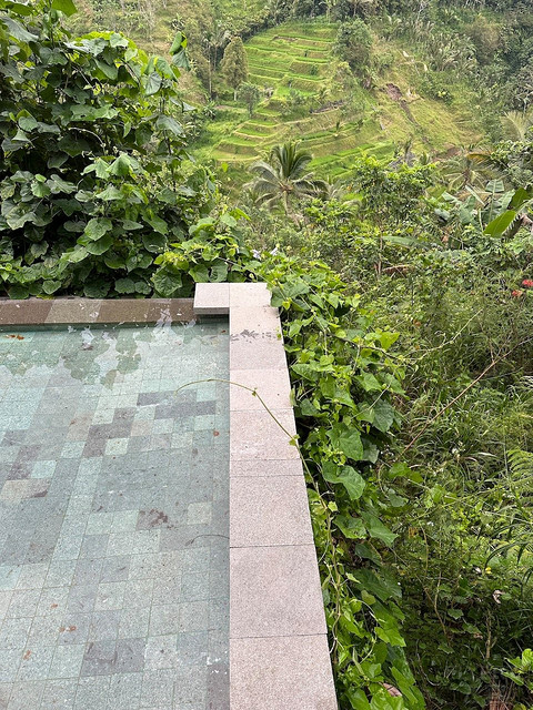 酋长人生——巴厘岛布阿罕悦榕逸境酒店（Buahan, a Banyan Tree Escape）小记