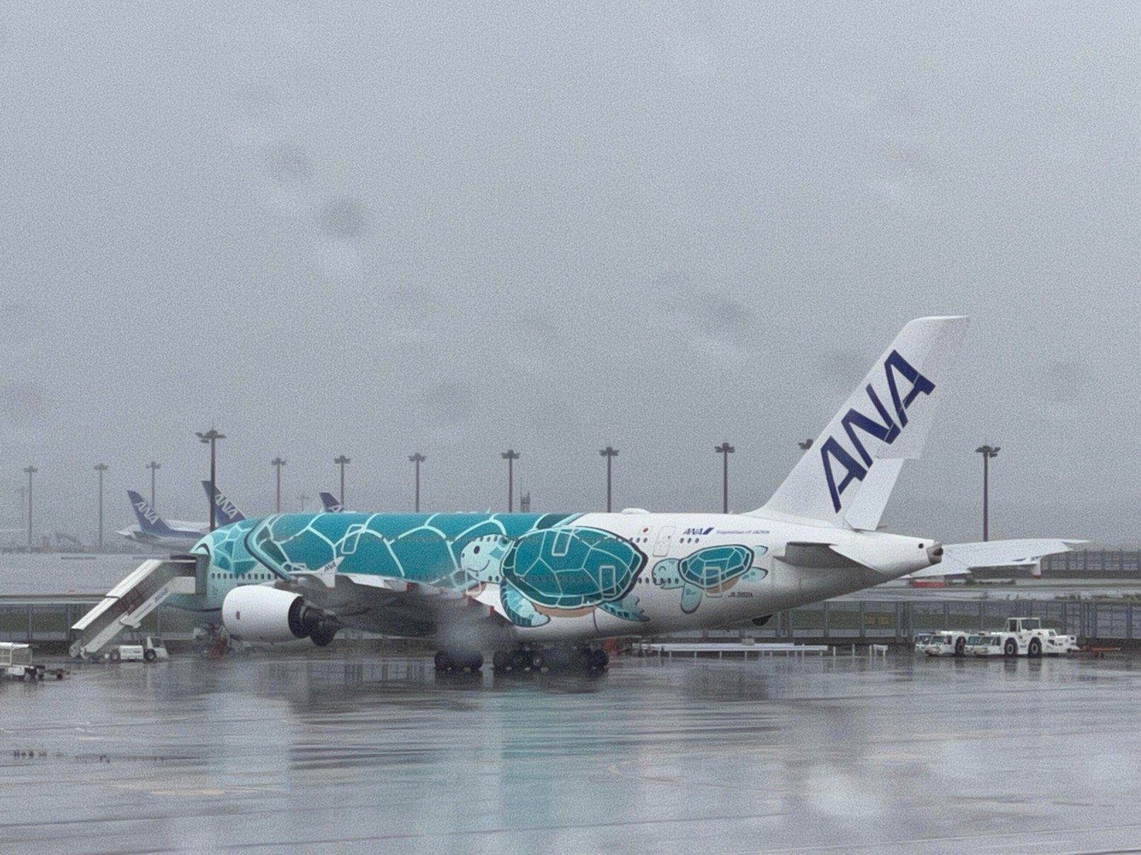 ȫտANA NH184 A380 ͷȲ -̴ɽ NRT-HNL