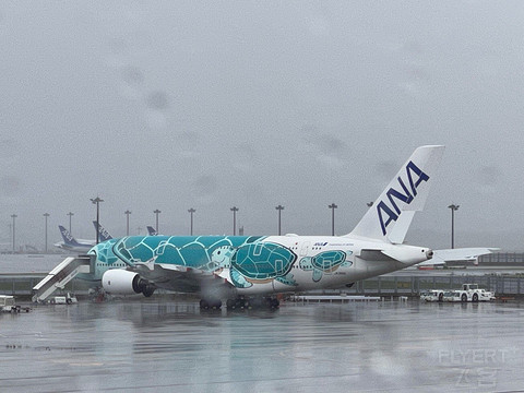 ȫտANA NH184 A380 ͷȲ -̴ɽ NRT-HNL