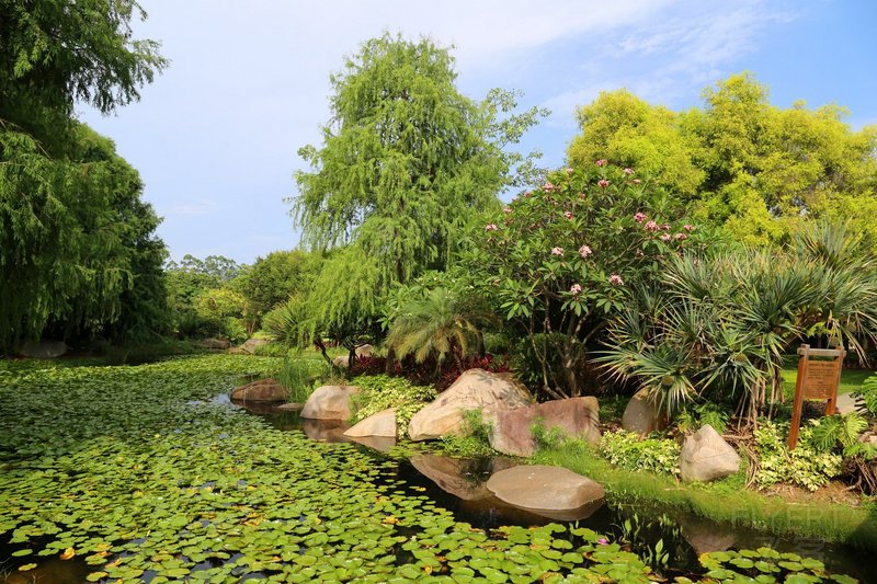 Xiamen--Seaview Hotel Garden (11).JPG