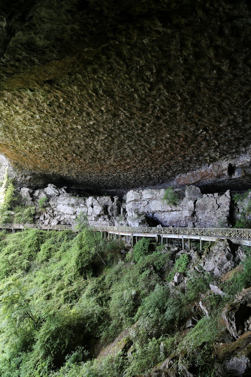 Nanchuan--Mt Jinfo (14).JPG