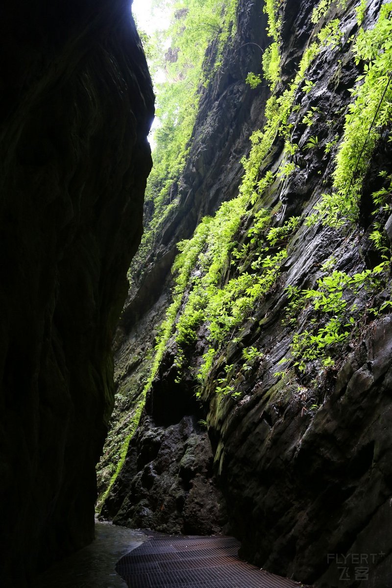 Wulong--Three Natural Bridges and Longshuixia Gorge (102).JPG