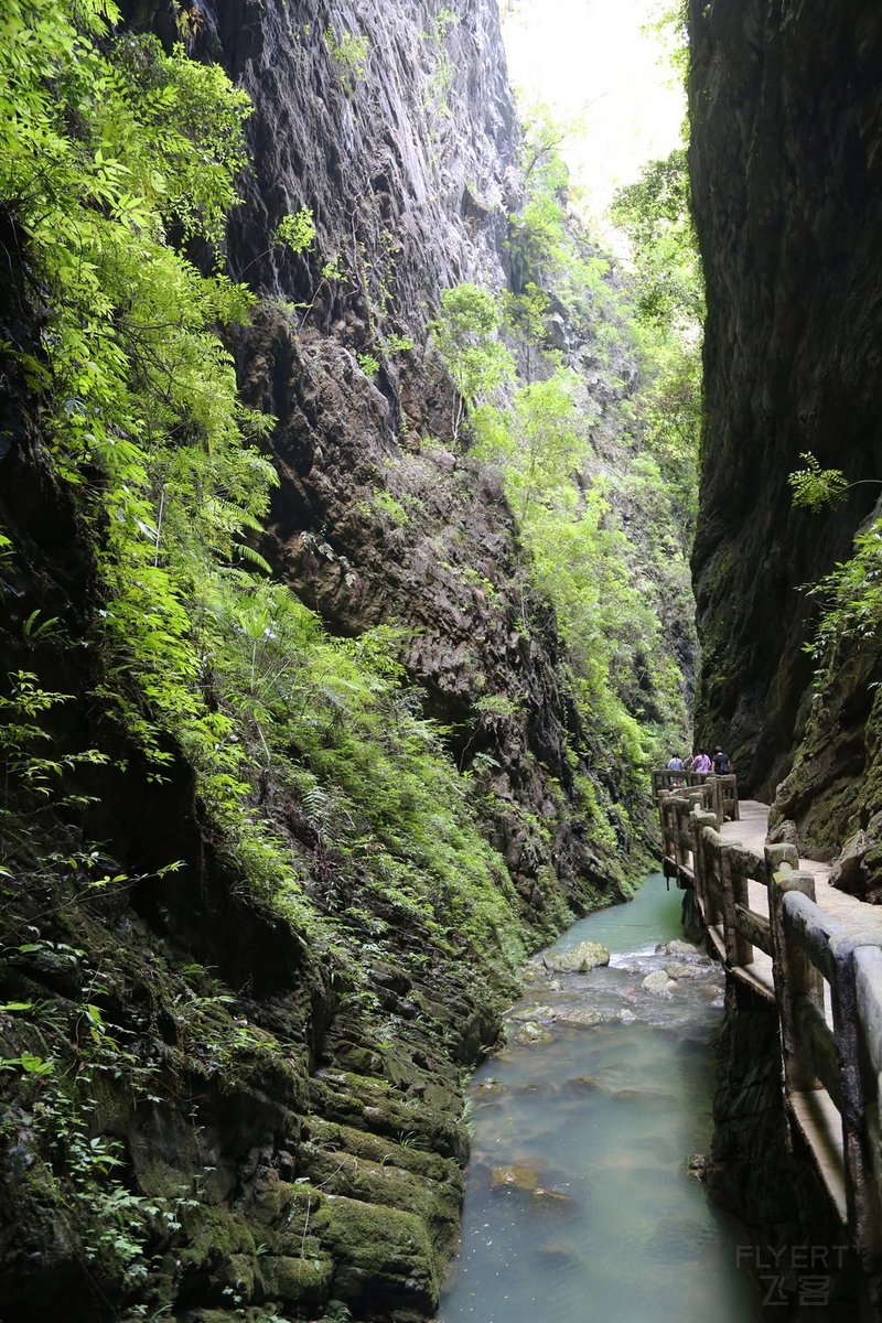 Wulong--Three Natural Bridges and Longshuixia Gorge (103).JPG