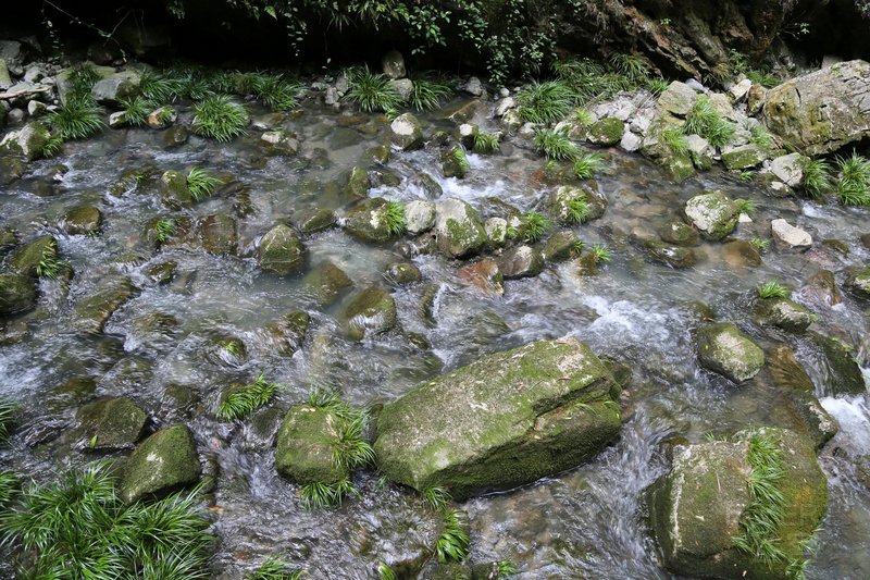 Wulong--Three Natural Bridges and Longshuixia Gorge (105).JPG