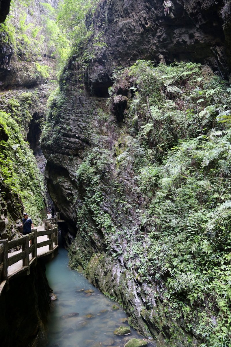 Wulong--Three Natural Bridges and Longshuixia Gorge (104).JPG