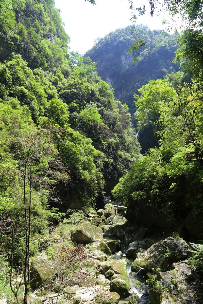 Wulong--Three Natural Bridges and Longshuixia Gorge (81).JPG