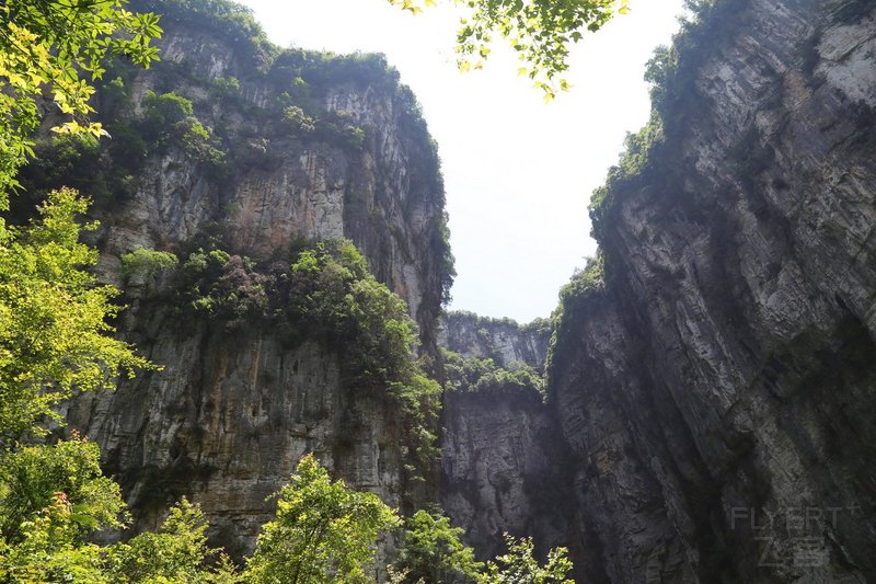 Wulong--Three Natural Bridges and Longshuixia Gorge (10).JPG