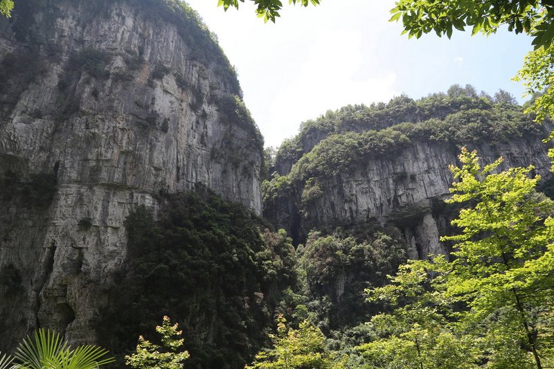 Wulong--Three Natural Bridges and Longshuixia Gorge (9).JPG