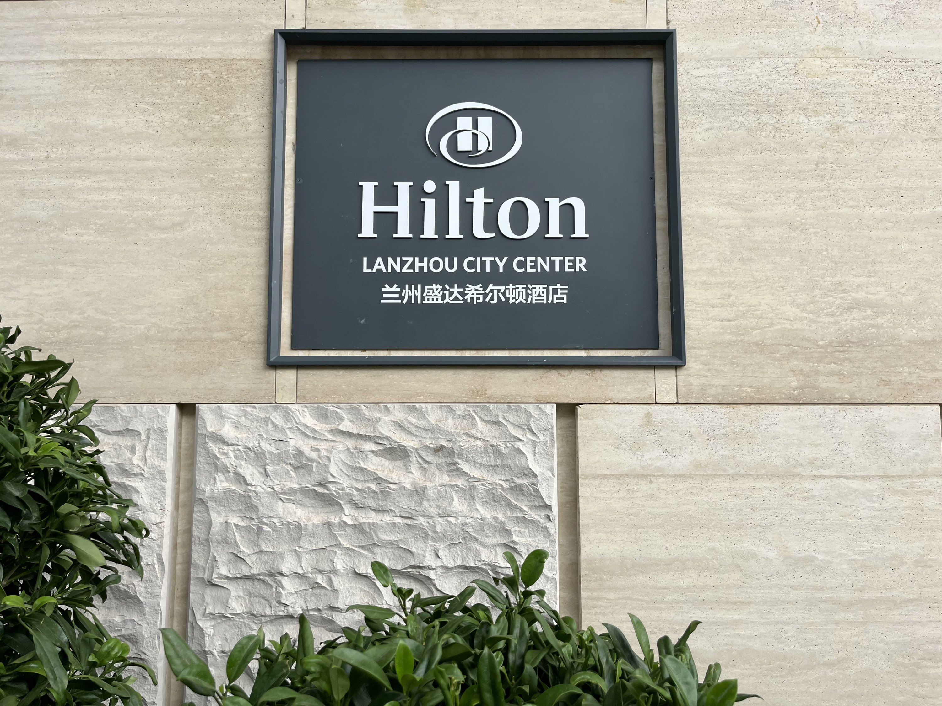 ۣ֮ƶѧʢϣ١Hilton