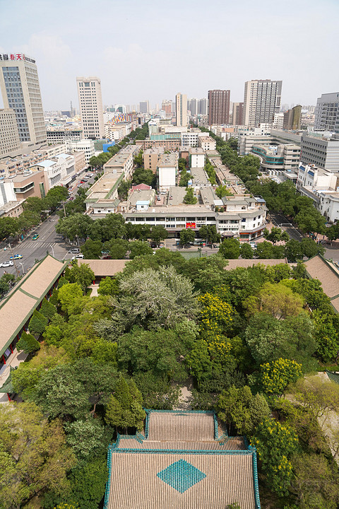 镇北堡情结——银川喜来登
