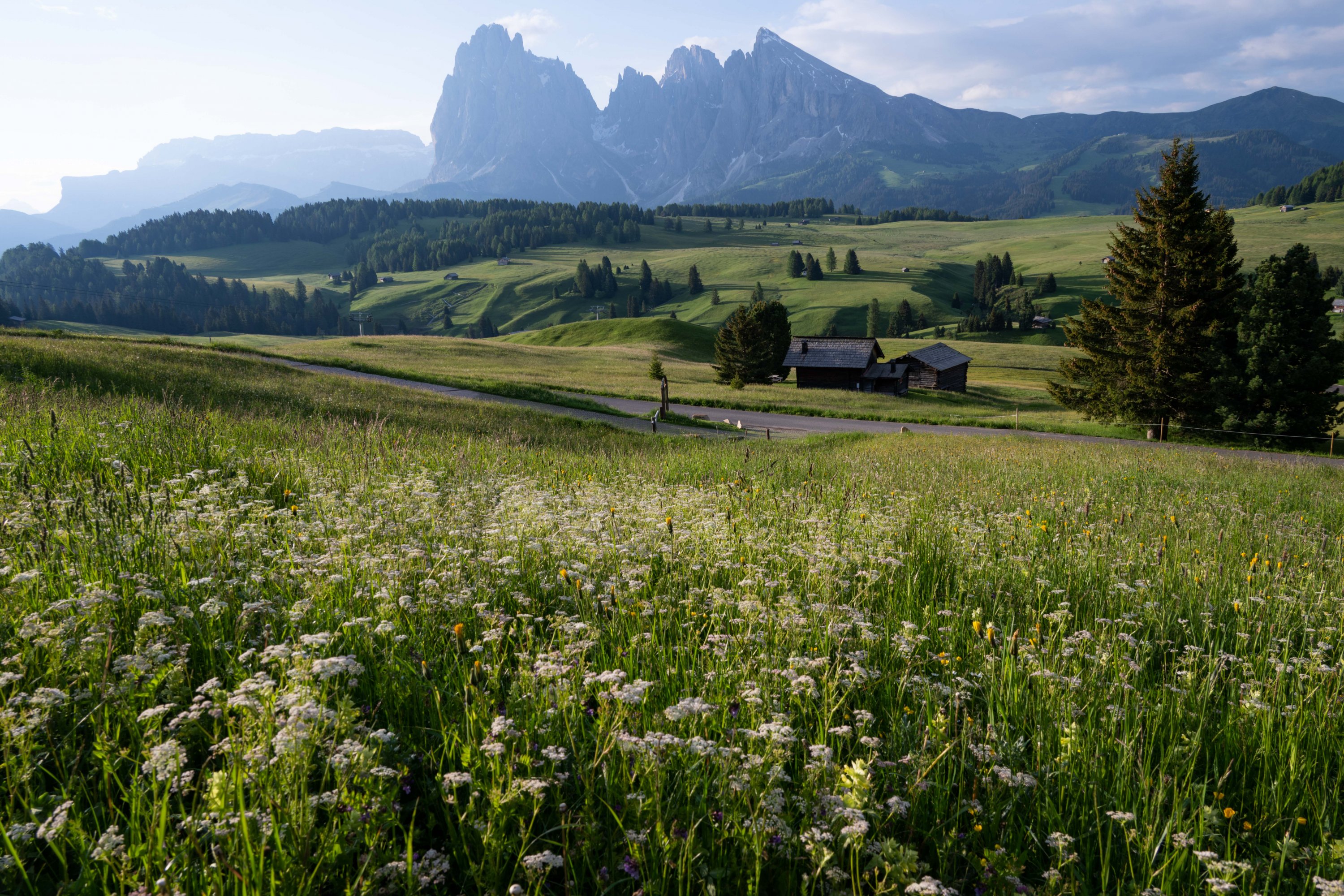 ǰ˹ɽľƵ꣺ADLER Lodge ALPE