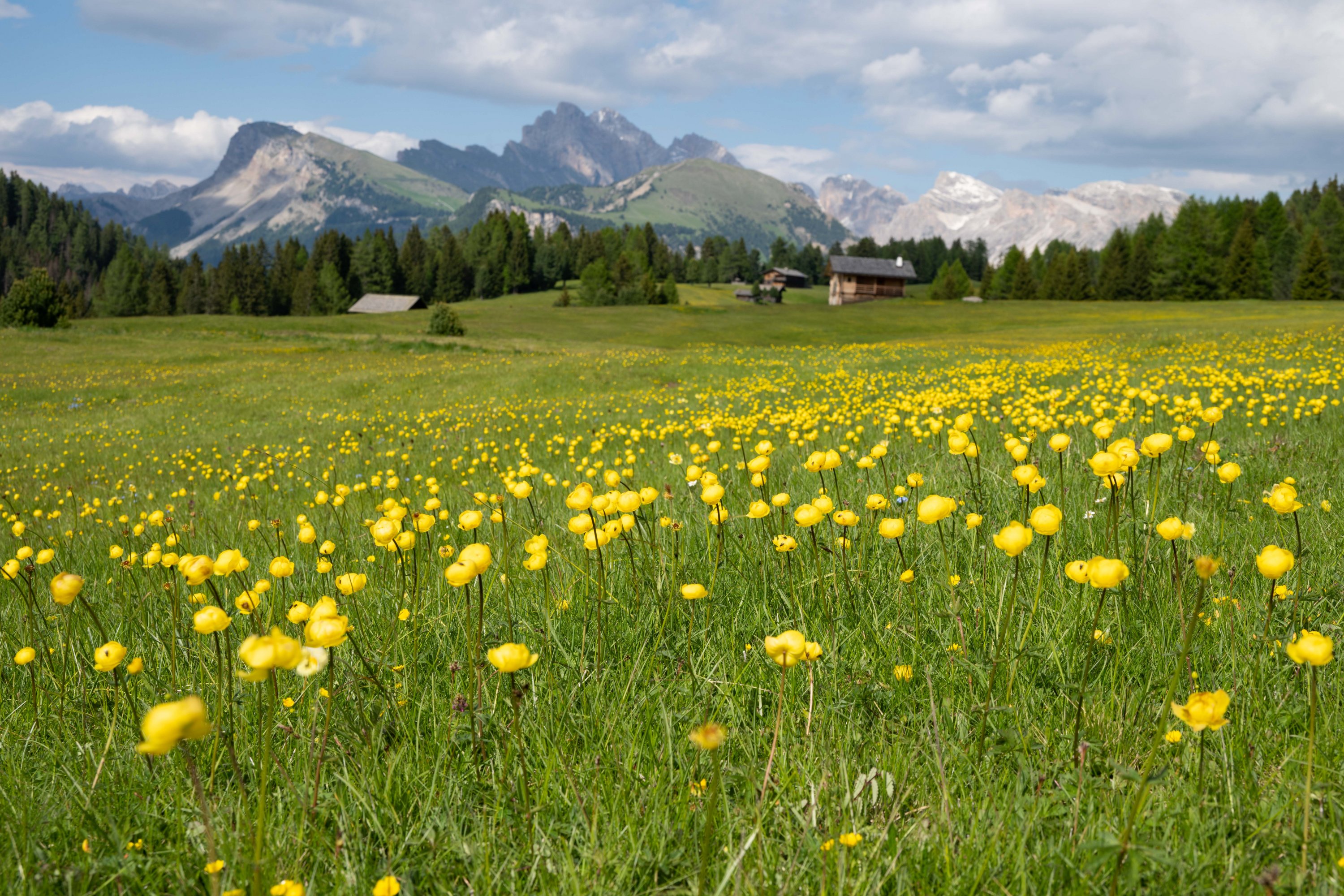 ǰ˹ɽľƵ꣺ADLER Lodge ALPE