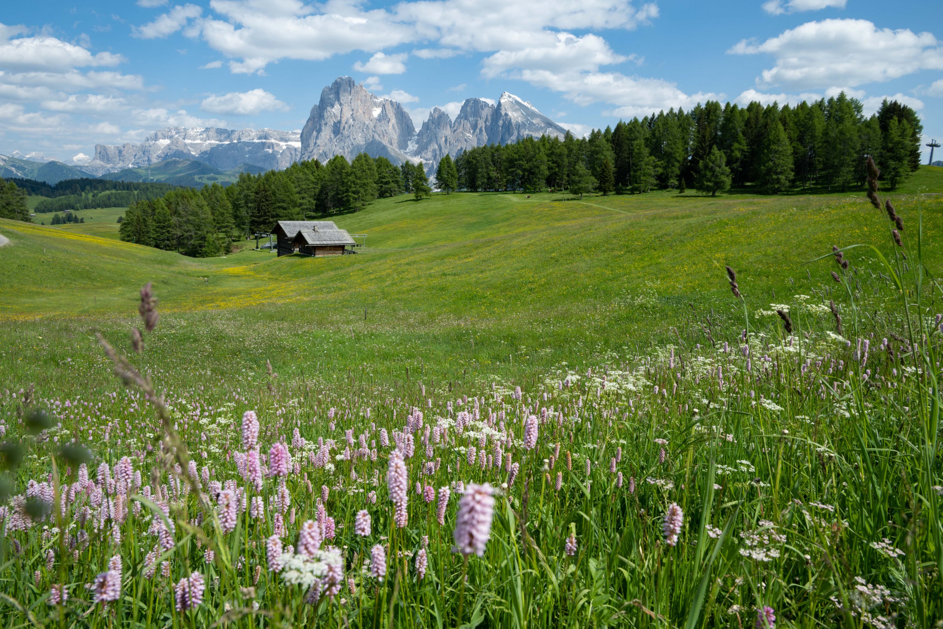 ǰ˹ɽľƵ꣺ADLER Lodge ALPE