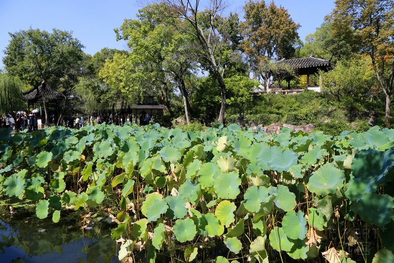 Suzhou--拙政