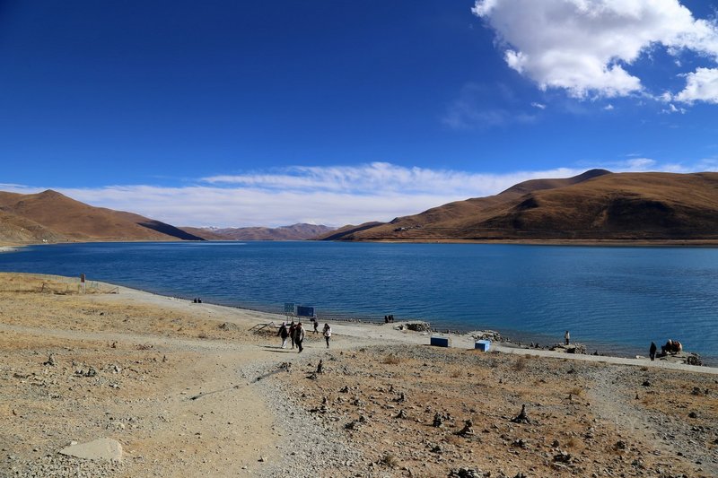 Lhasa--羊卓雍错和卡若拉冰川 (58).JPG