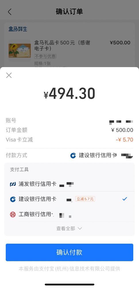VISA֧