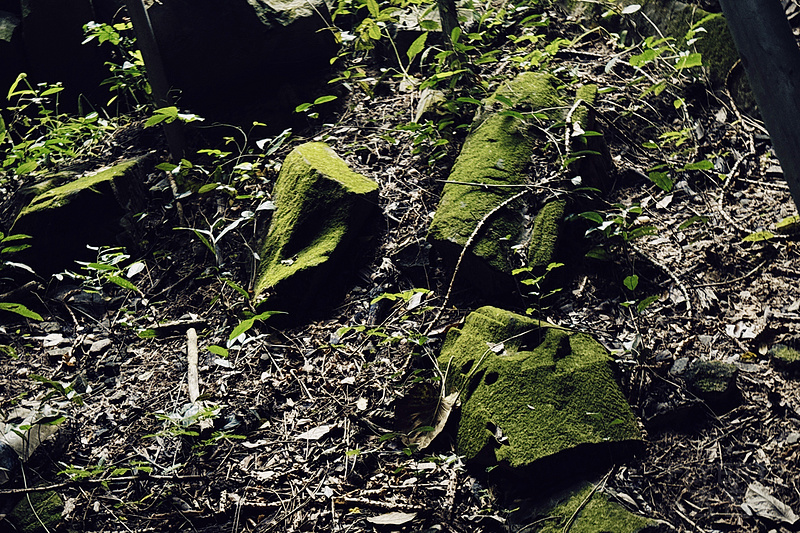 090626CKONKULEDTIFOSDT.png 090626CKONKULEDTIFOSDT.png