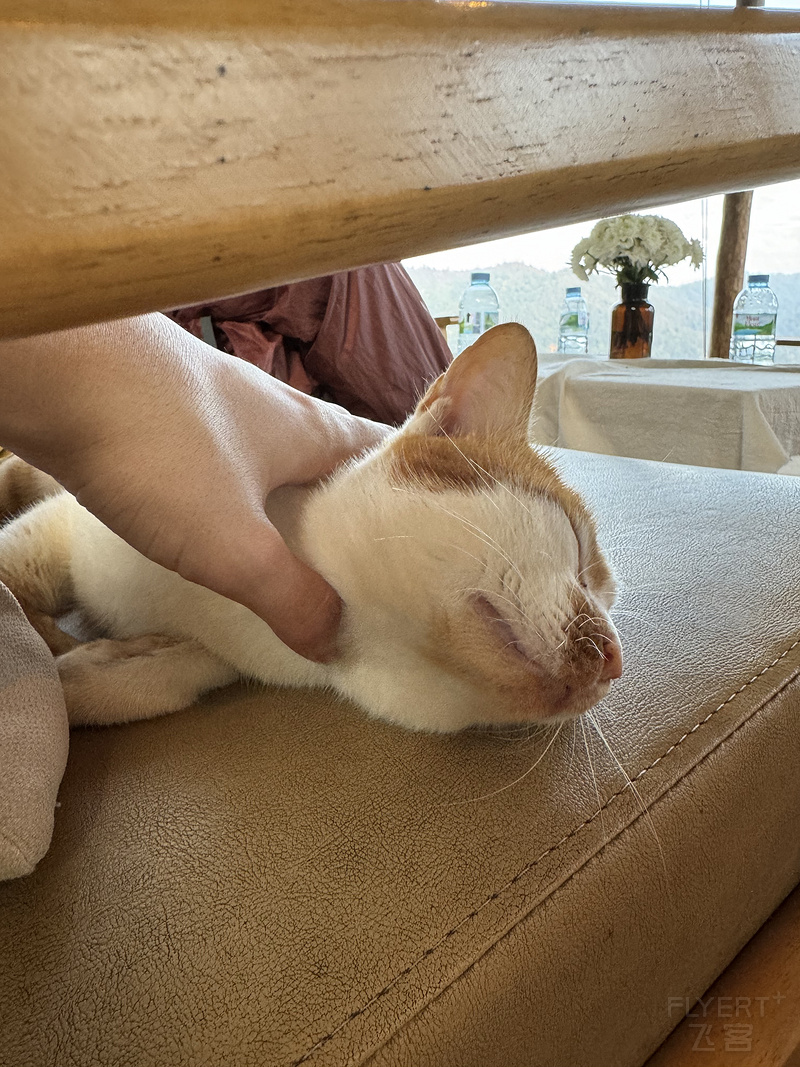 143854GFCYUKJPAWGBXMTR.png 143854GFCYUKJPAWGBXMTR.png