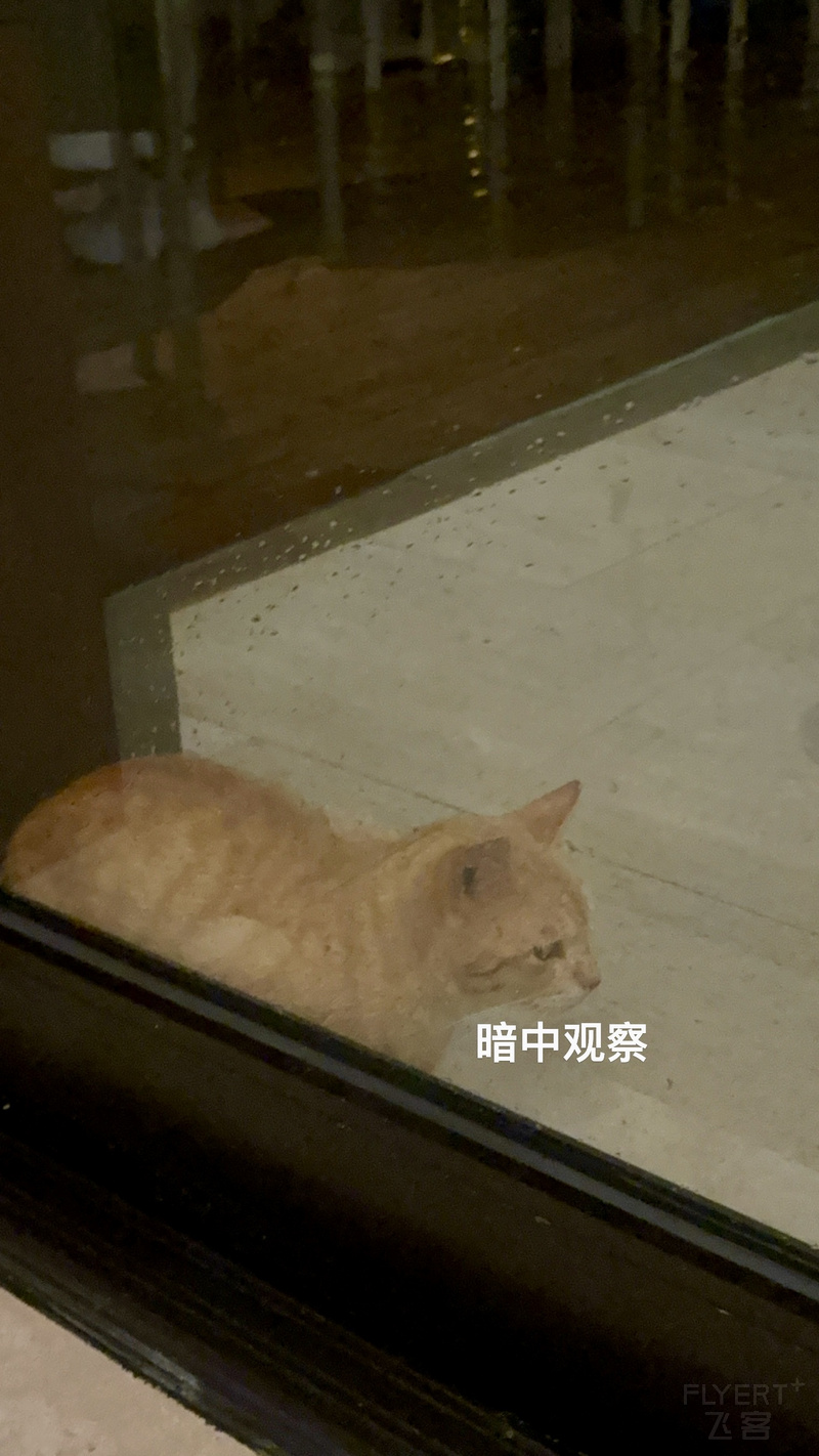 151827RXHJEXBWMTGKNXXK.png 151827RXHJEXBWMTGKNXXK.png