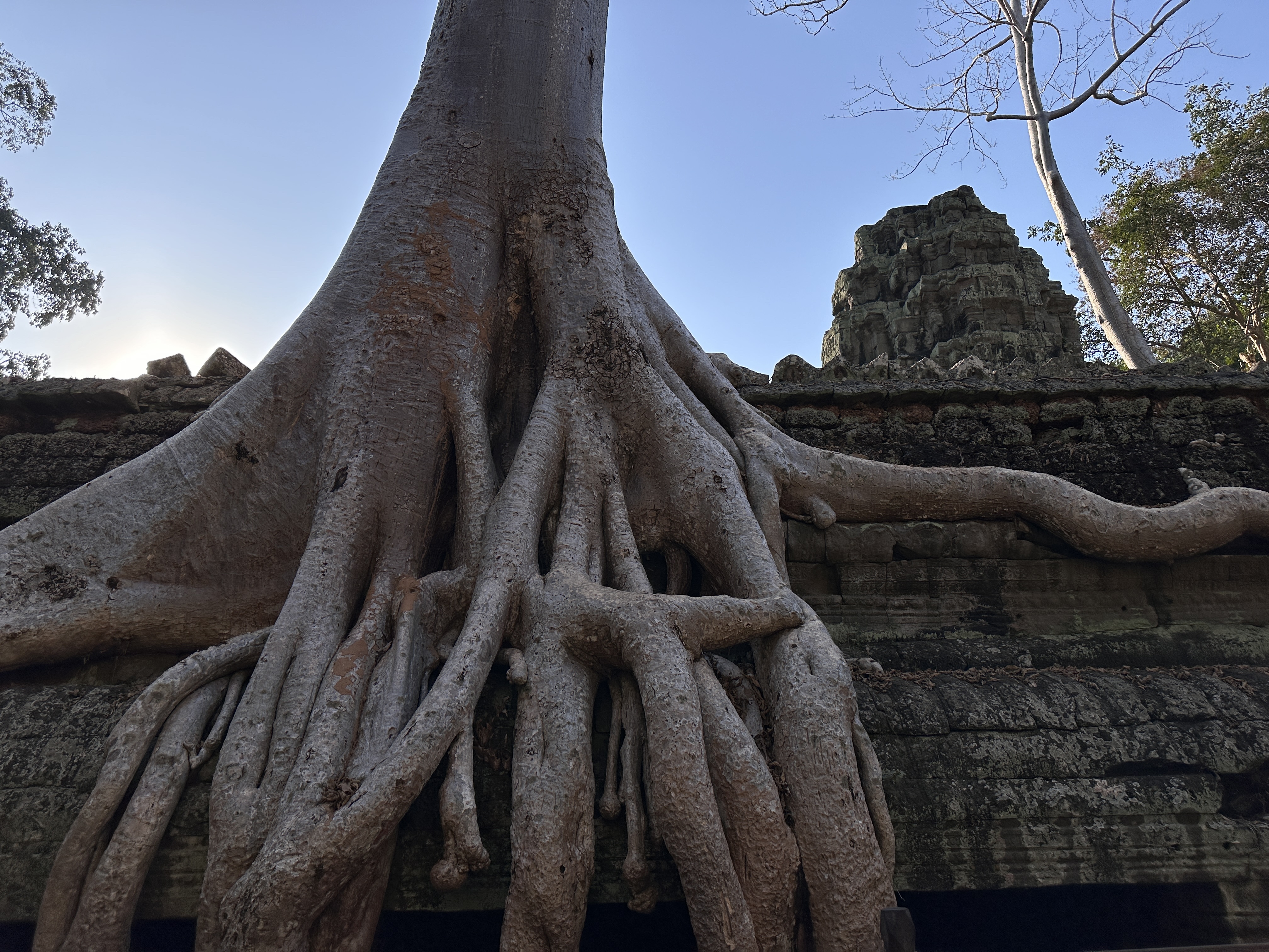 ǧ  Courtyard Siem Reap